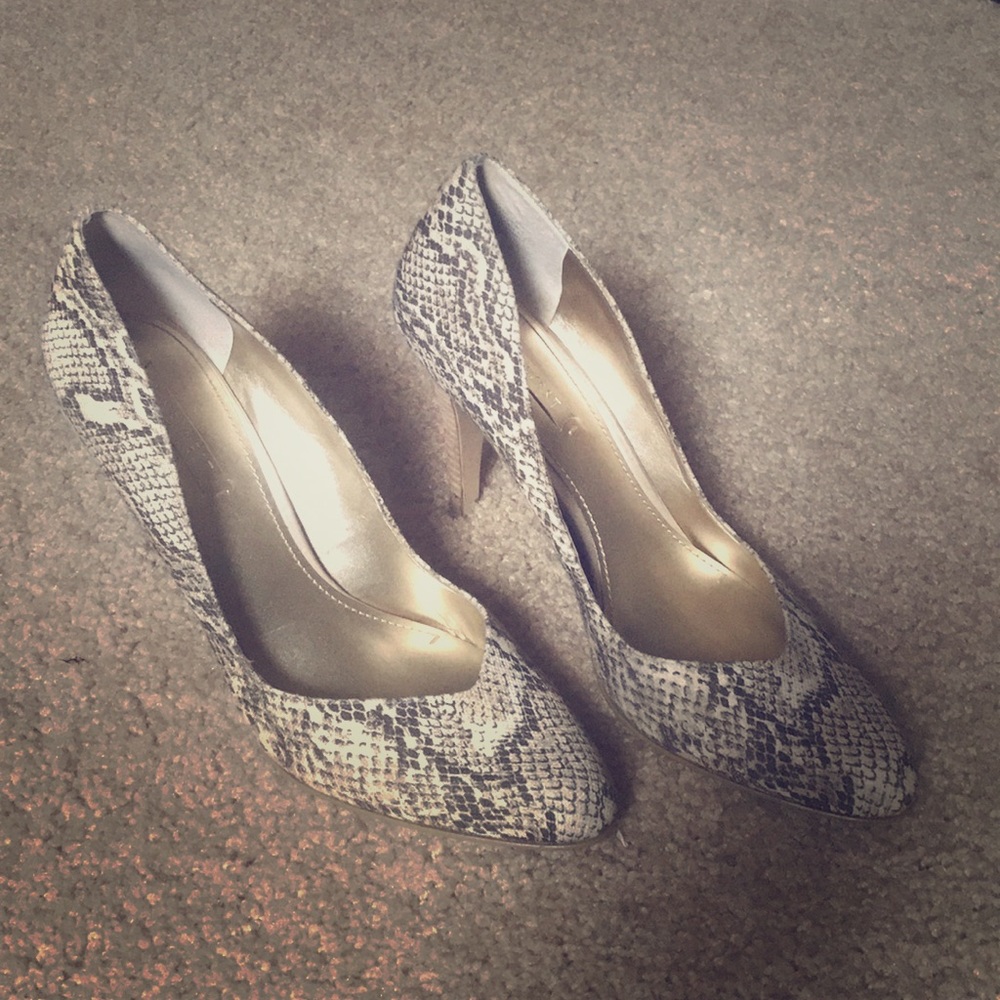 Alligator heels